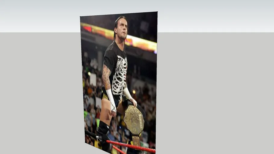 cm punk poster