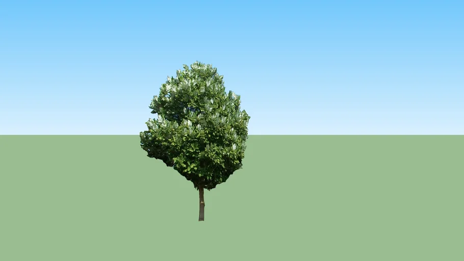 Municipal Building Trees (05) - Huntsville, AL