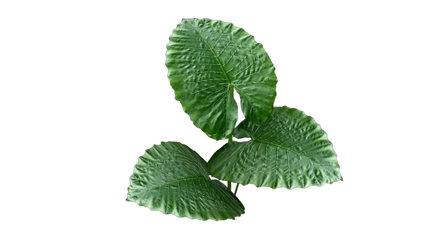 Foliage for landscaping