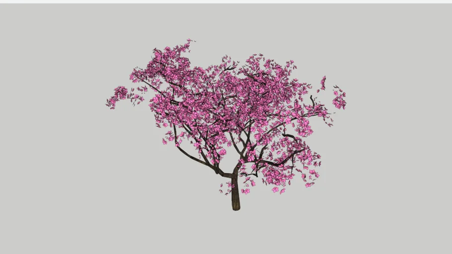Sakura Tree
