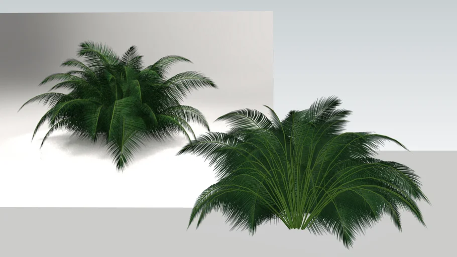 Garden Planters 1