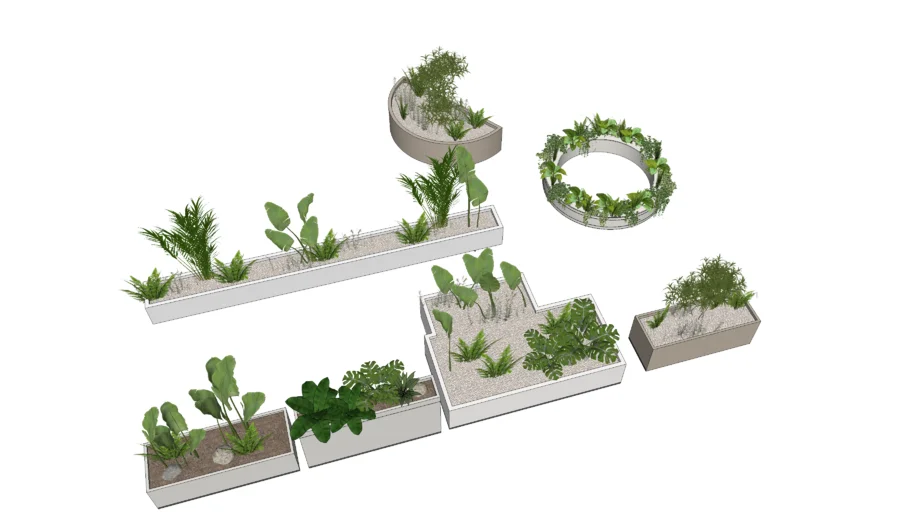 plant box