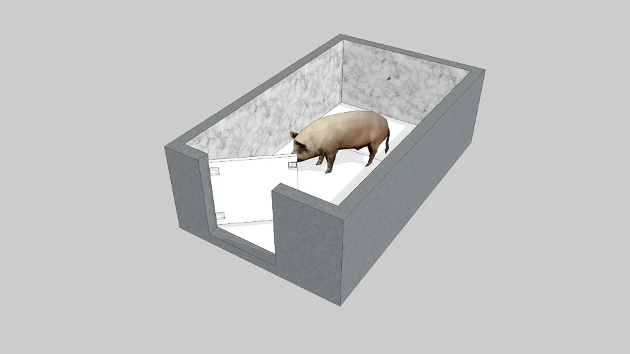 Corral de cerdos