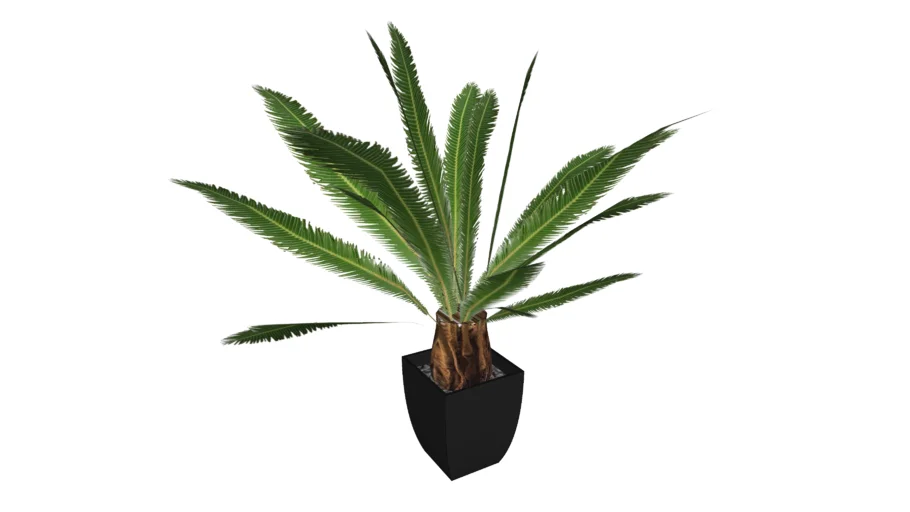 61200 Deco Plant Cycas Tree 78cm