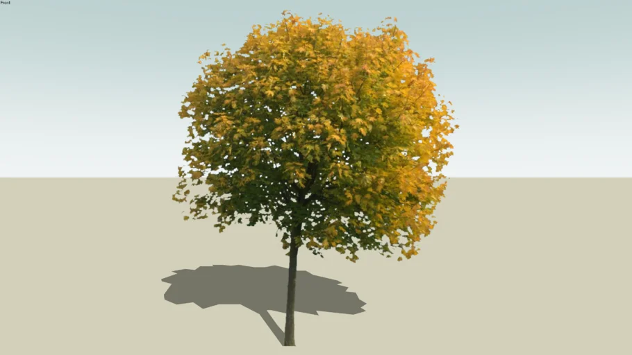 2D Face-Me Tree Model