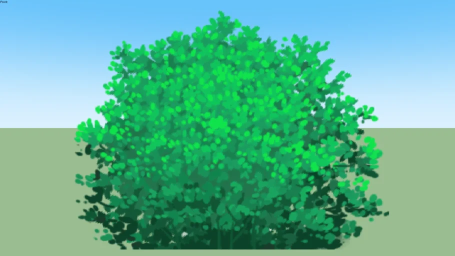 shrubbery02-1