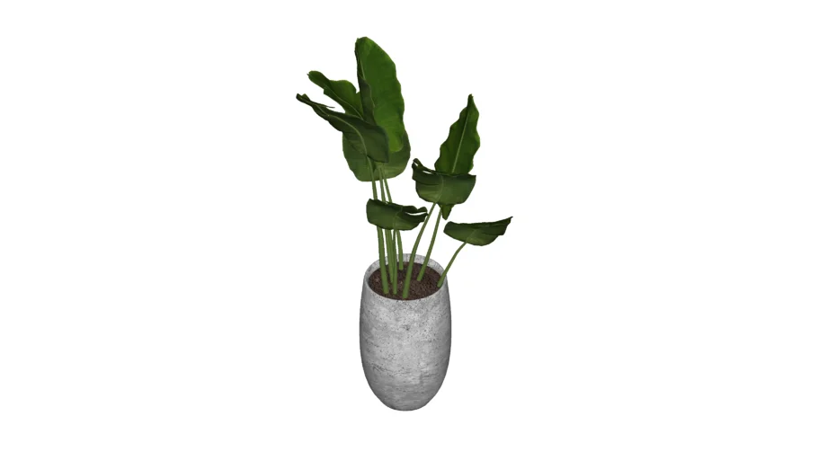 Vaso de Planta 02