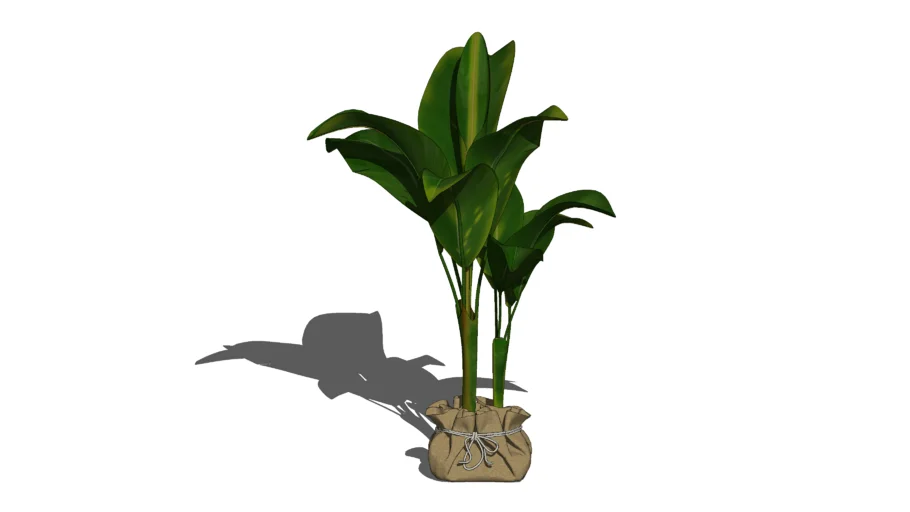 CACHEPOT COM VEGETAÇÃO