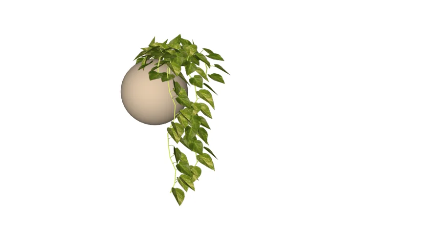 Pothus in vase V-Ray ready materials