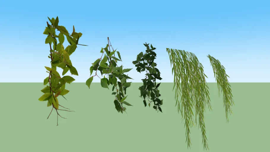 vines