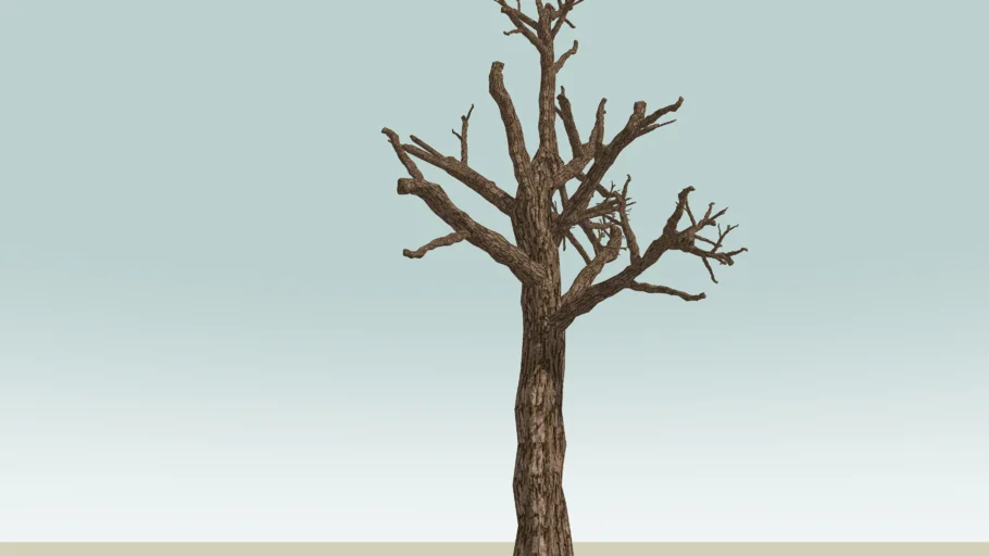 Arbol otoñal , tree in autumn