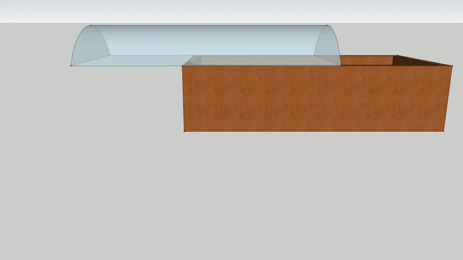 glass-top casket