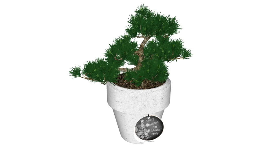Decorative Pot Plant 2