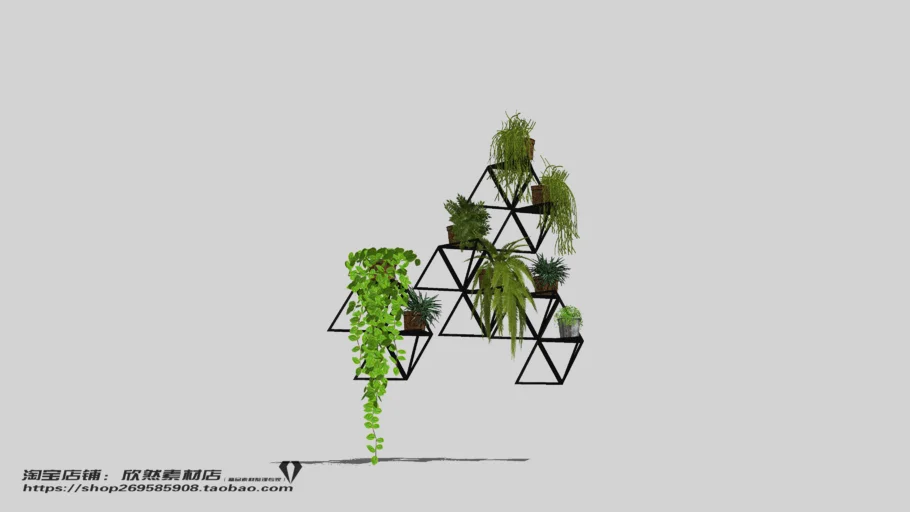 Copy of Indoor Plant（02）