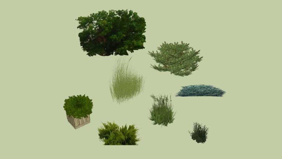 Bushes Assortment
