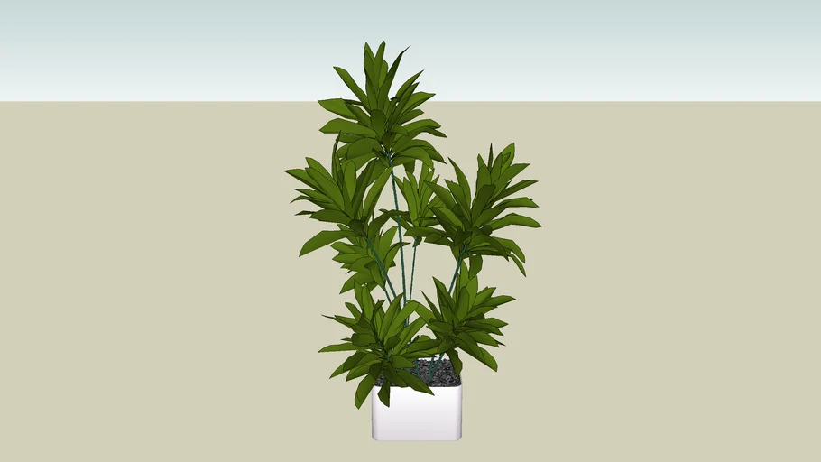 Pot with plant