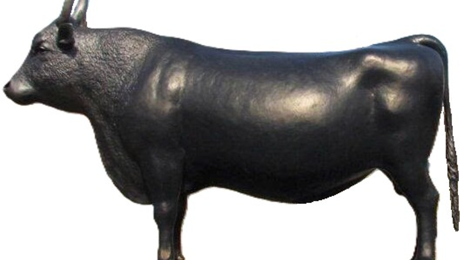 COW | 3D Warehouse