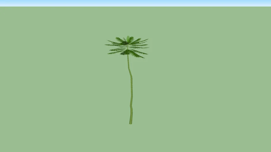 SOLOBIUM ATAU TURI BRASIL