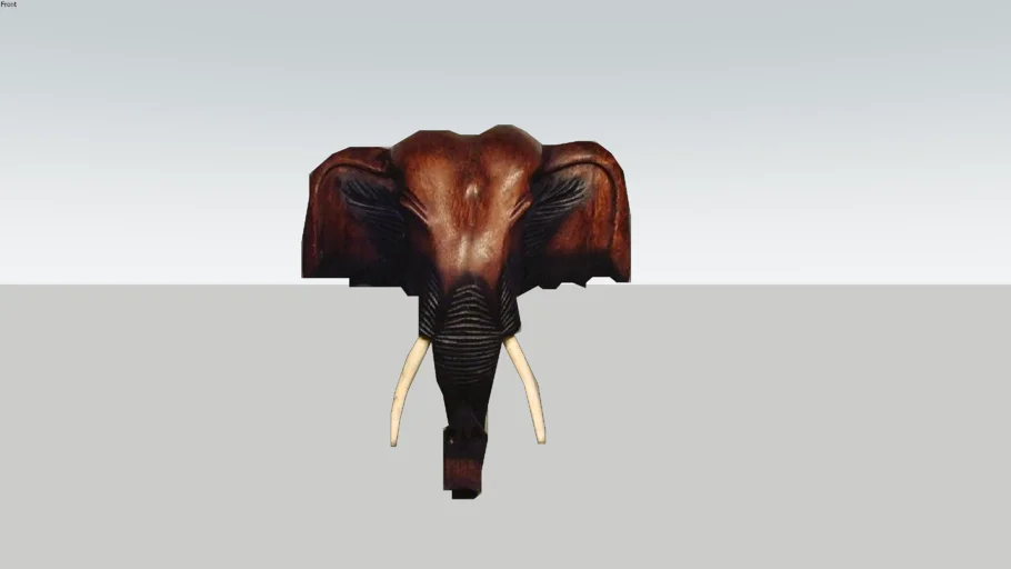 Head elephant