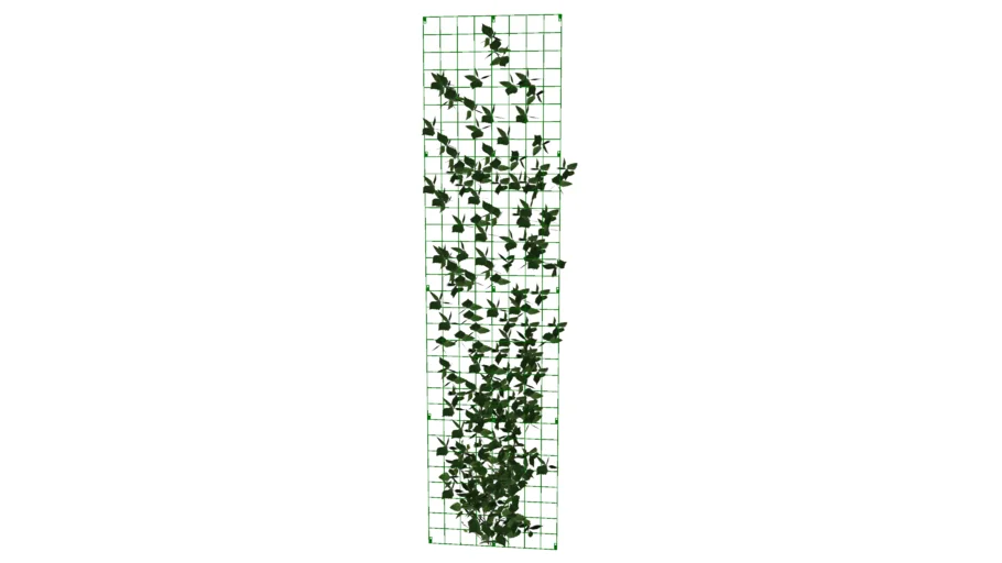 VINES (6).skp
