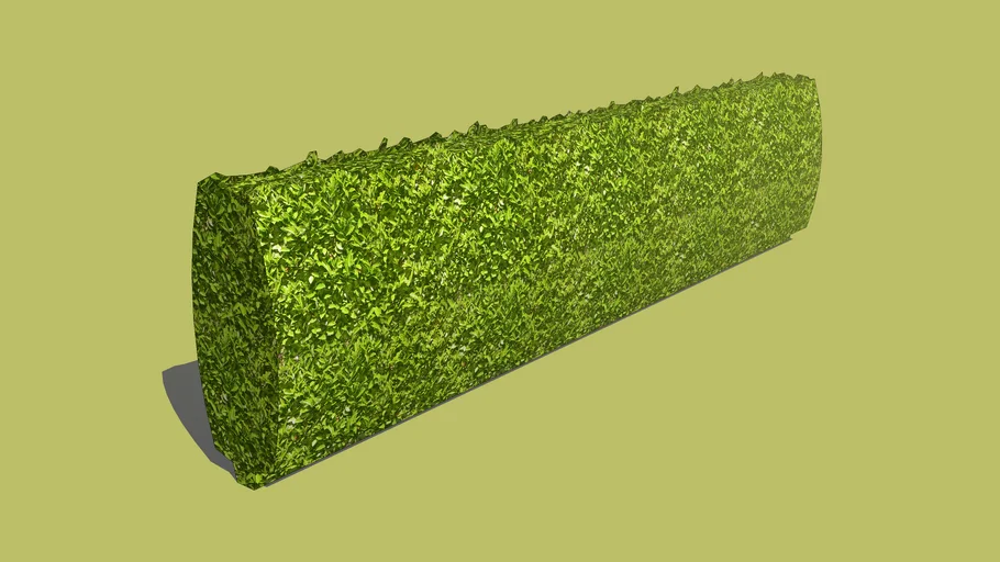 3d hedge low poly