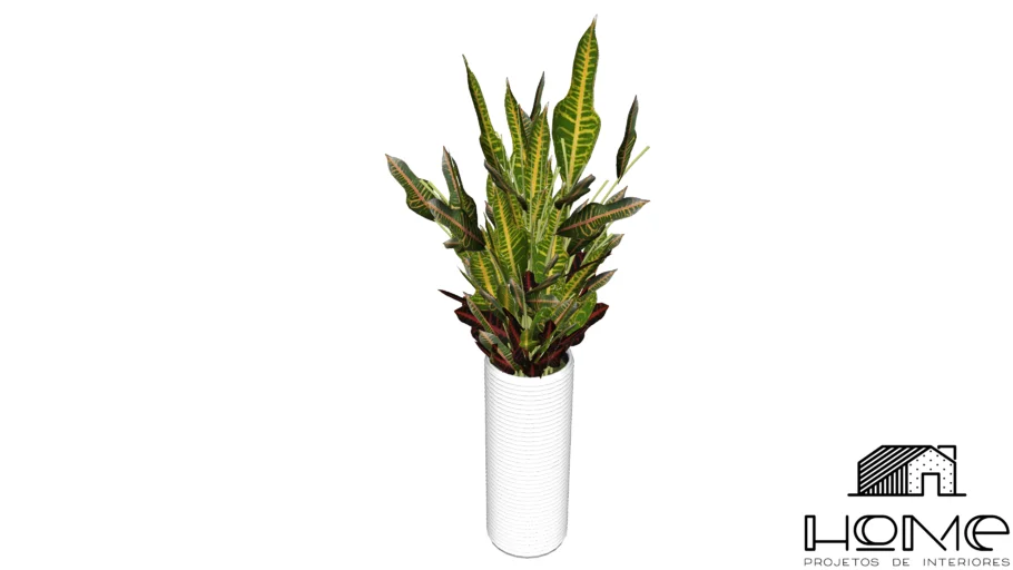 vaso de plantas