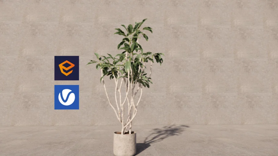 Enscape_House Plant_AM260_012