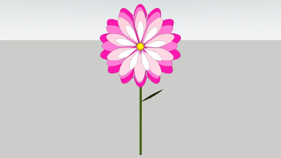 Pink flower