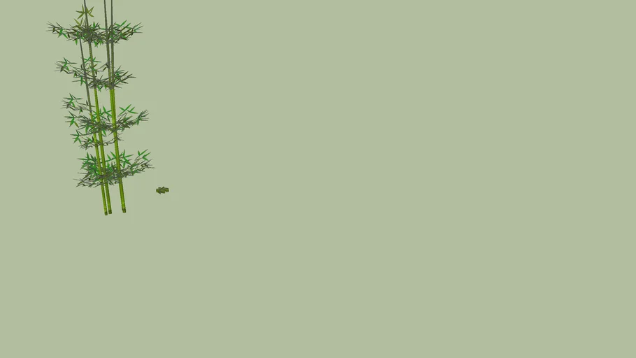 bamboo