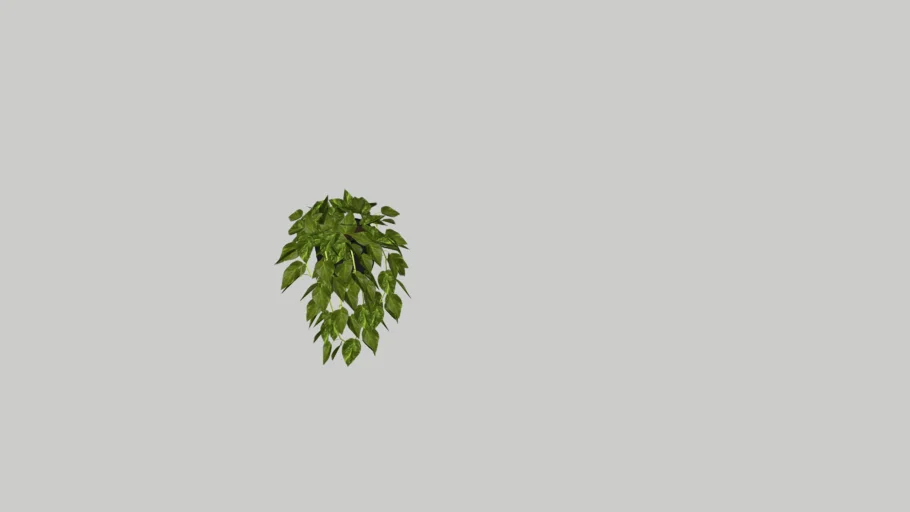 Hanging plant
