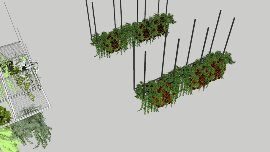 hanging flowers