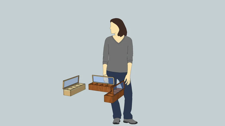 Watch box options