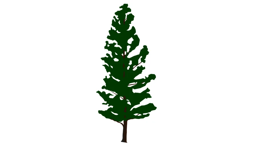 2D Schematic Pine Tree