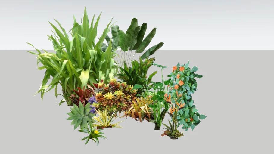 Shrubs