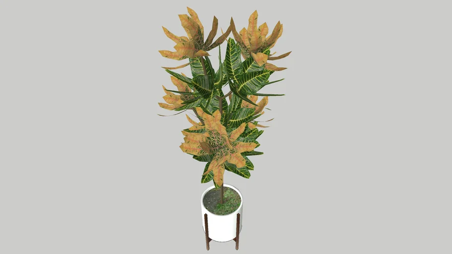 potted plants