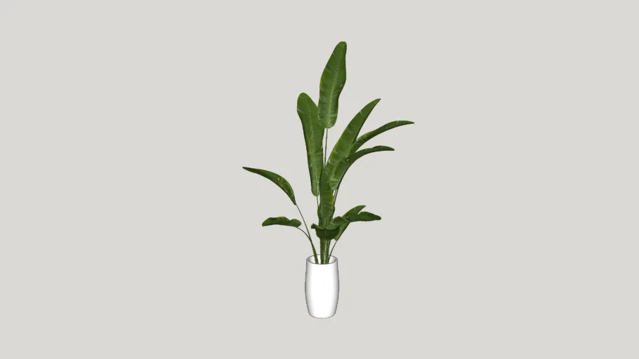Flowers vase