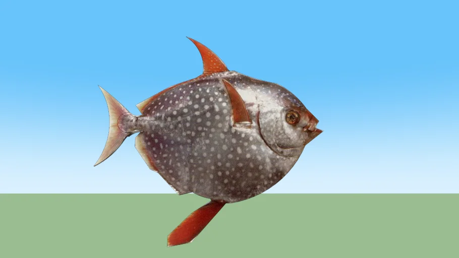 moon  fish