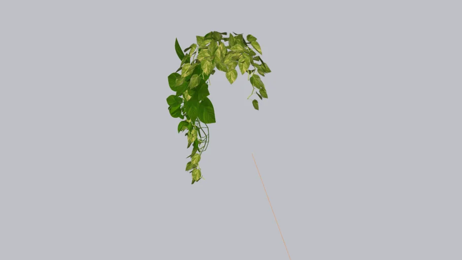 Hanging plant