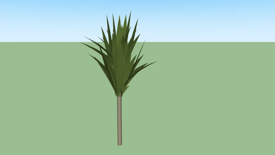 DRACENA ARBÓREA