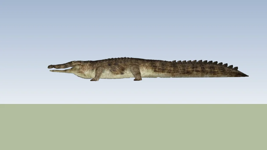 Goniopholis