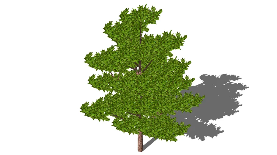 tree | 3D Warehouse