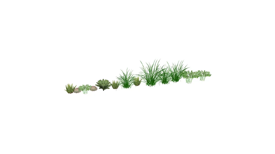 verduras