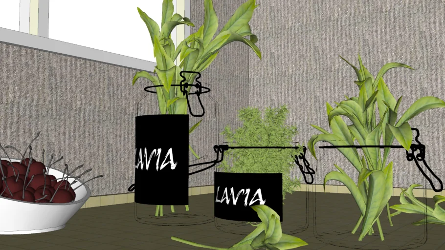 Vasos con Planta