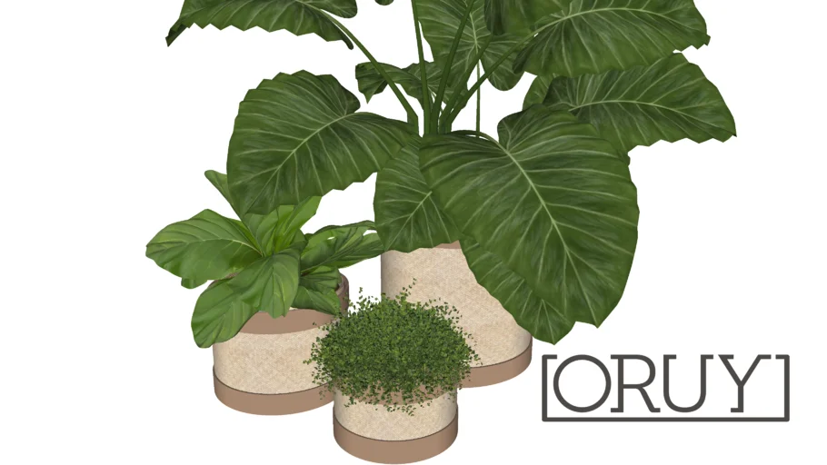 Cesto Naturale ORUY couro palha decoração decor cachepot planta plant costela de adão folhagem