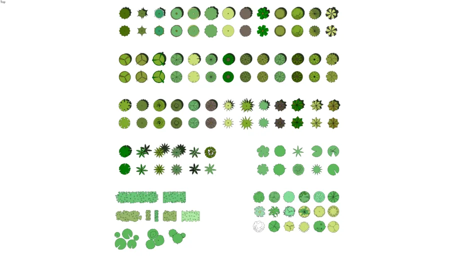 2D Sketchy Plant Symbols (Top View) – Trees, Shrubs, Hedges & Climbers