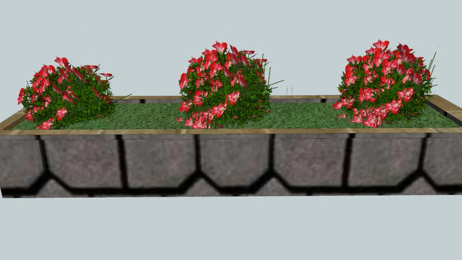 Flores de arbustos