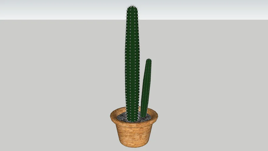 cactus2