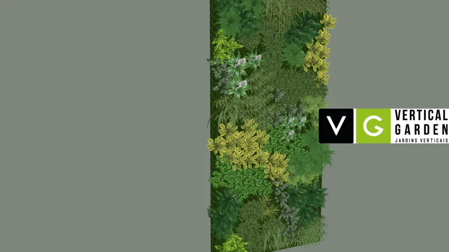 Jardim Vertical - Vertical Garden 