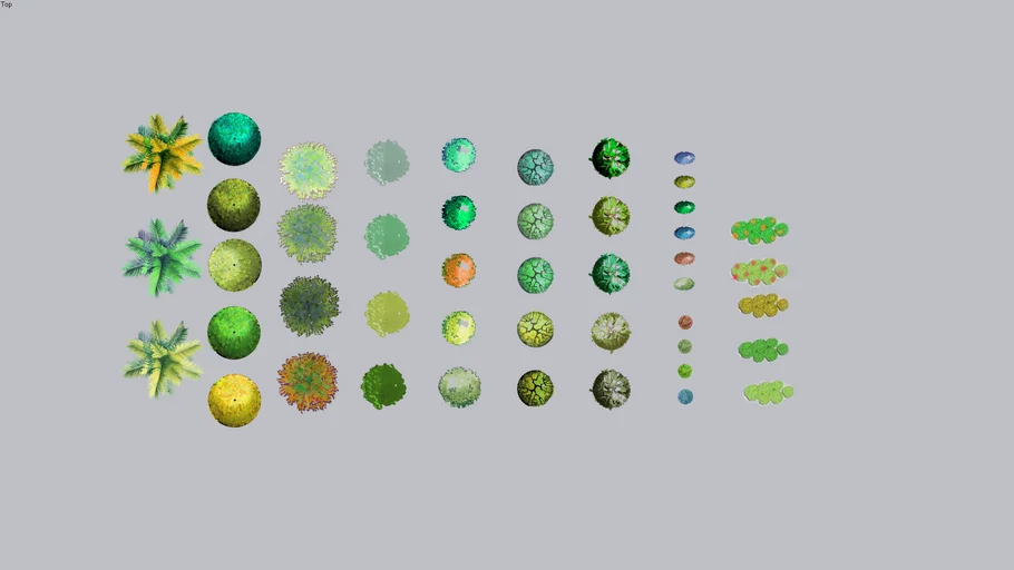 2D Plant