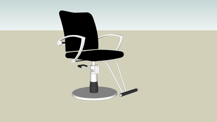 Salon Chair